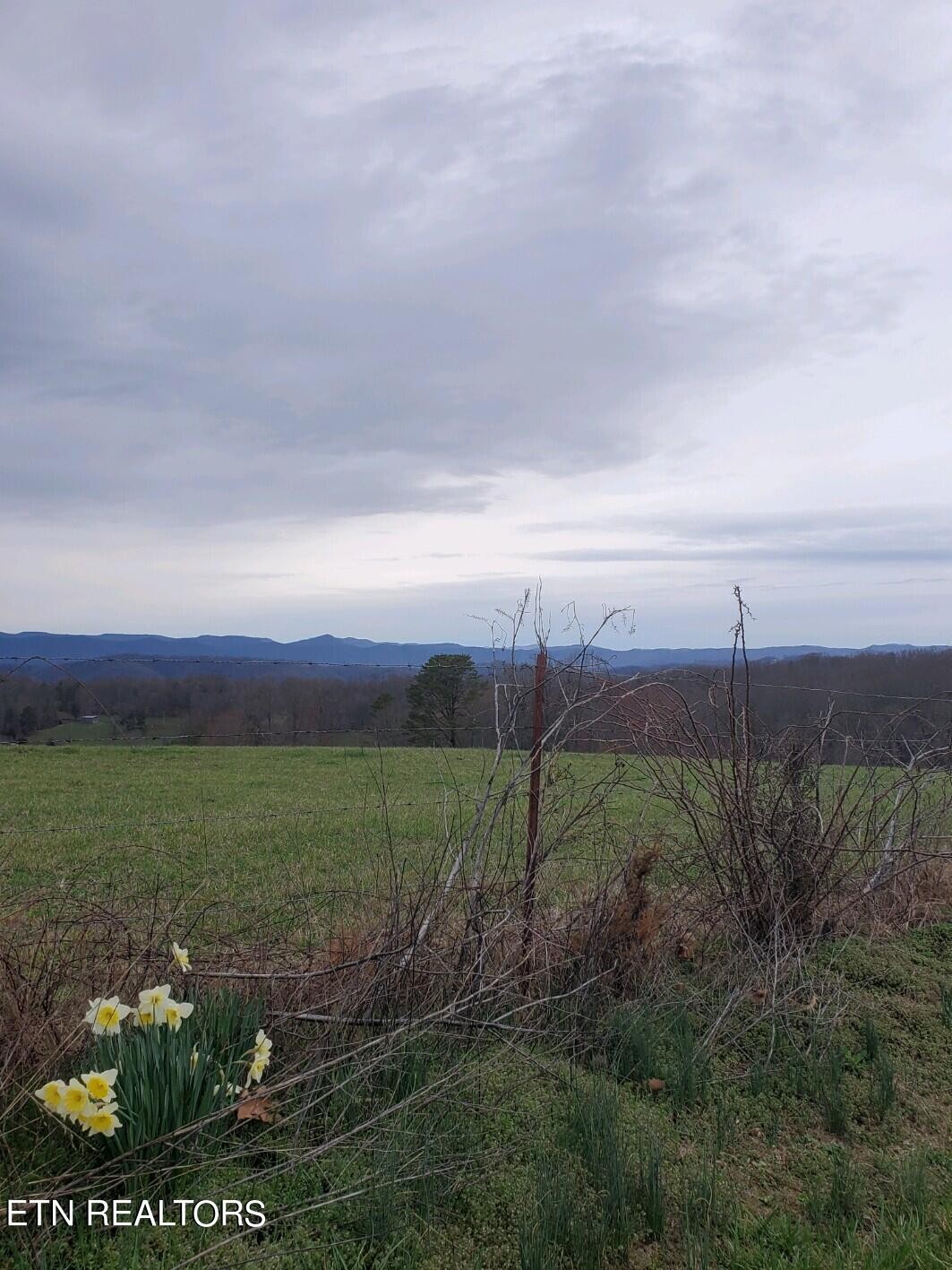 947 Locust Grove Road New Tazewell, TN 37825 - Photo 15 of 28 Gallery Image 15
