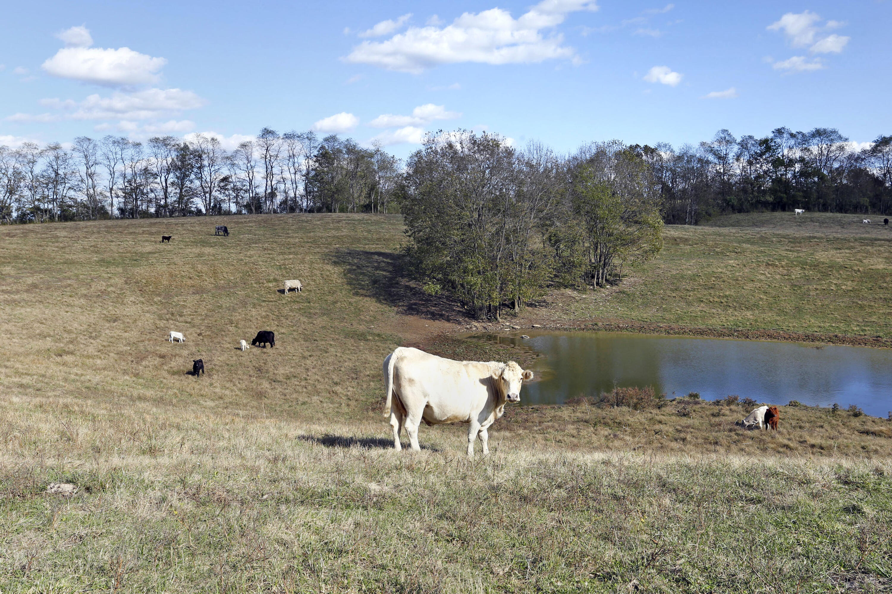 500 Carvers Ferry Road Richmond, KY 40475 - Photo 25 of 40 500 Carvers Ferry - 039