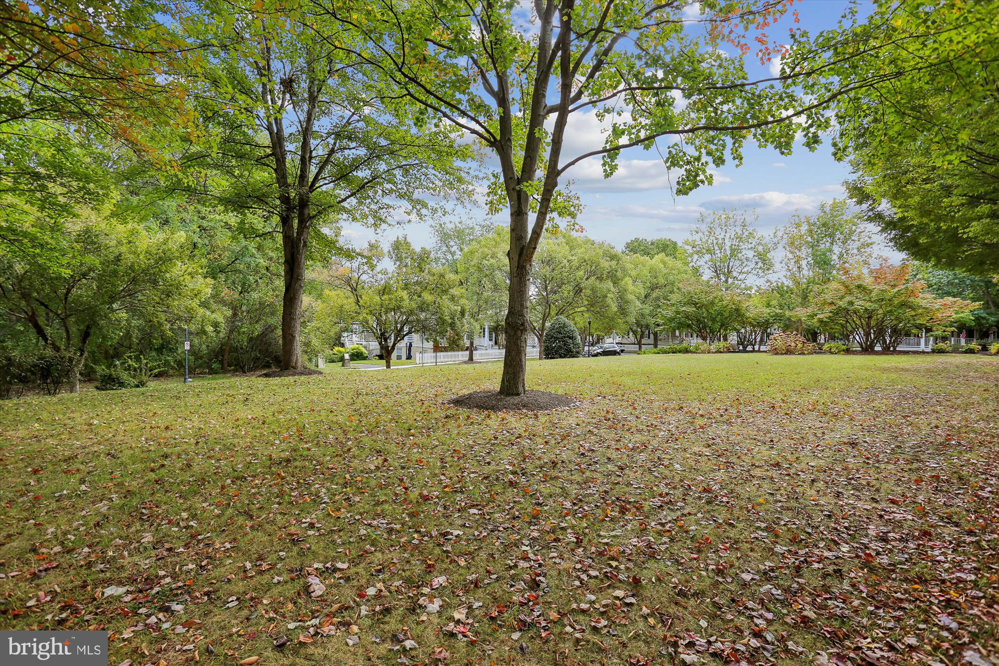 655 Gatestone Square Street Gaithersburg, MD 20878 - Photo 52 of 60 Side Yard