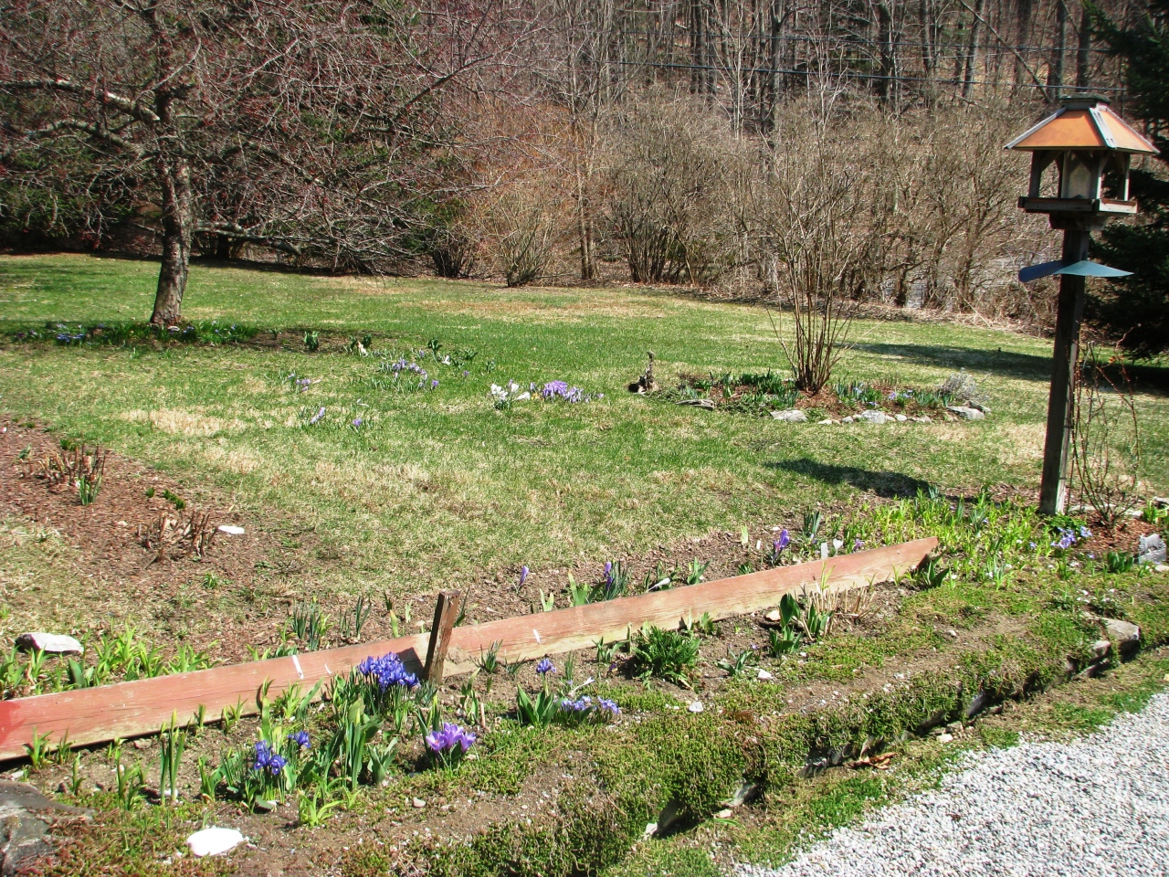47 Lenox Road West Stockbridge, MA 01266 - Photo 5 of 25 a view of a garden with a tree