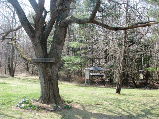 47 Lenox Road West Stockbridge, MA 01266 - Photo 6 of 25 a backyard of a house with lots of green space and fountain