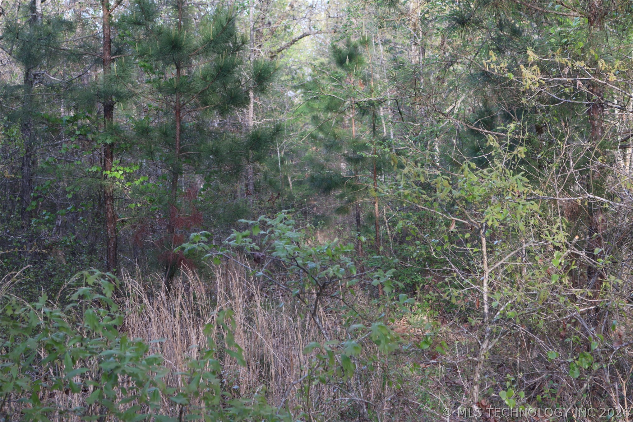 496 Wyr 56746 Road Broken Bow, OK 74728 - Photo 41 of 81 Gallery Image 41