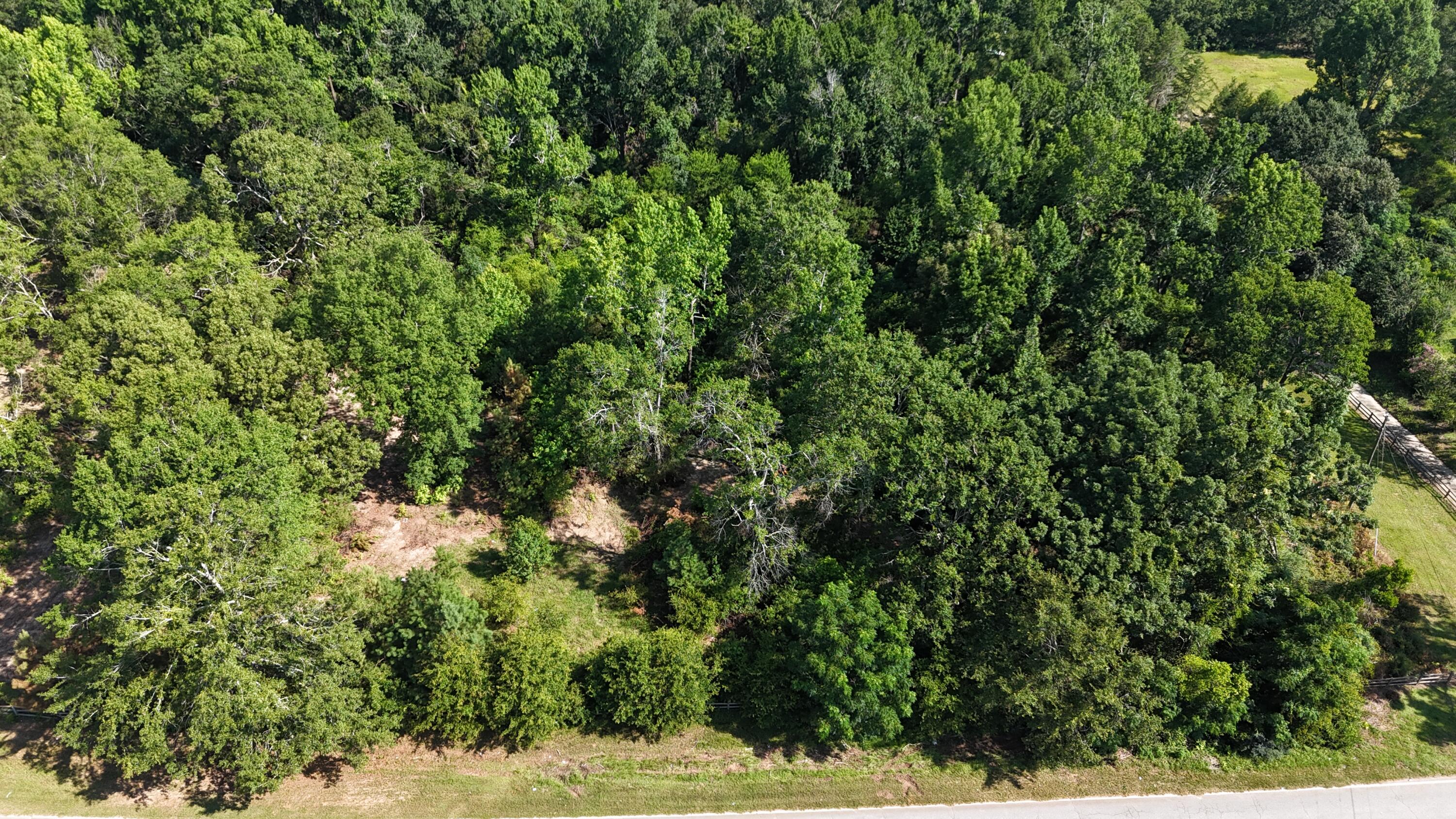 2039 McDade Road Hephzibah, GA 30815 - Photo 17 of 20 DJI_20250626102354_0078_D