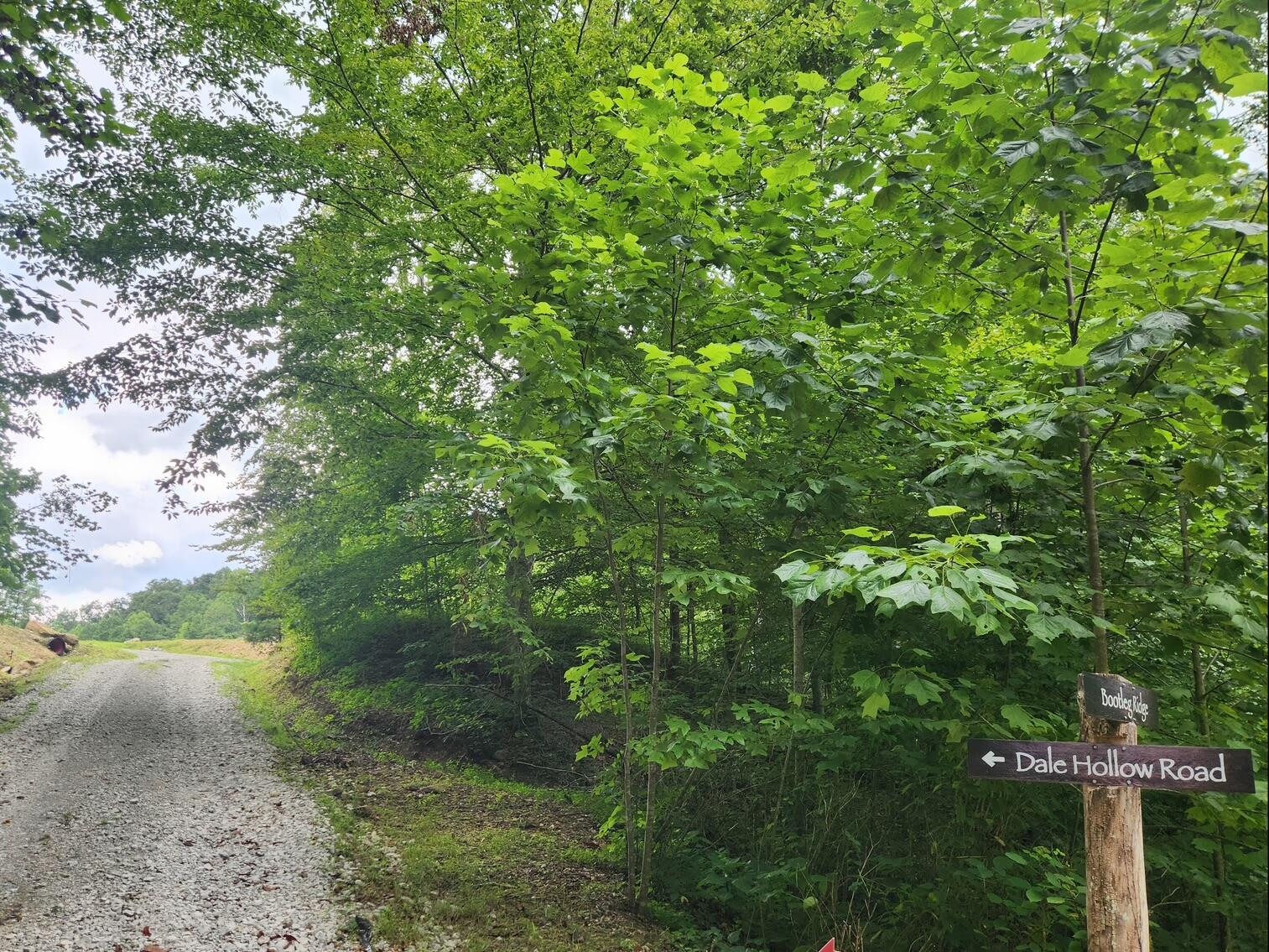 170 Birch Hollow Road Stanton, KY 40380 - Photo 16 of 25