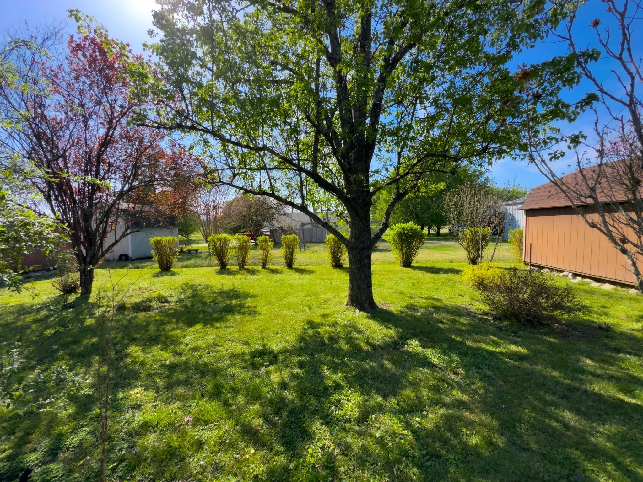 808 Windmere Drive Lebanon, TN 37090 - Photo 59 of 82 a view of yard with swimming pool and trees