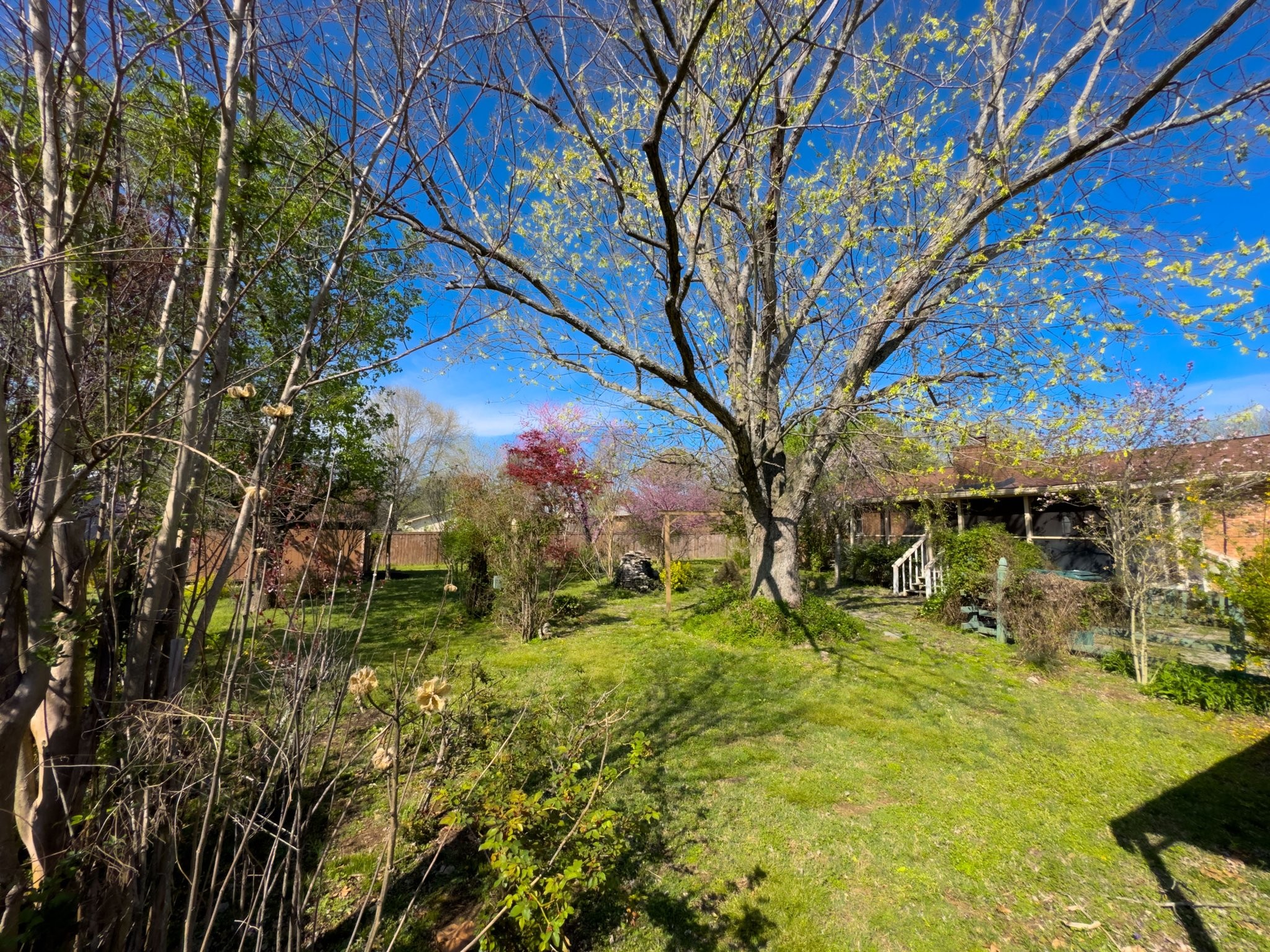 808 Windmere Drive Lebanon, TN 37090 - Photo 62 of 82