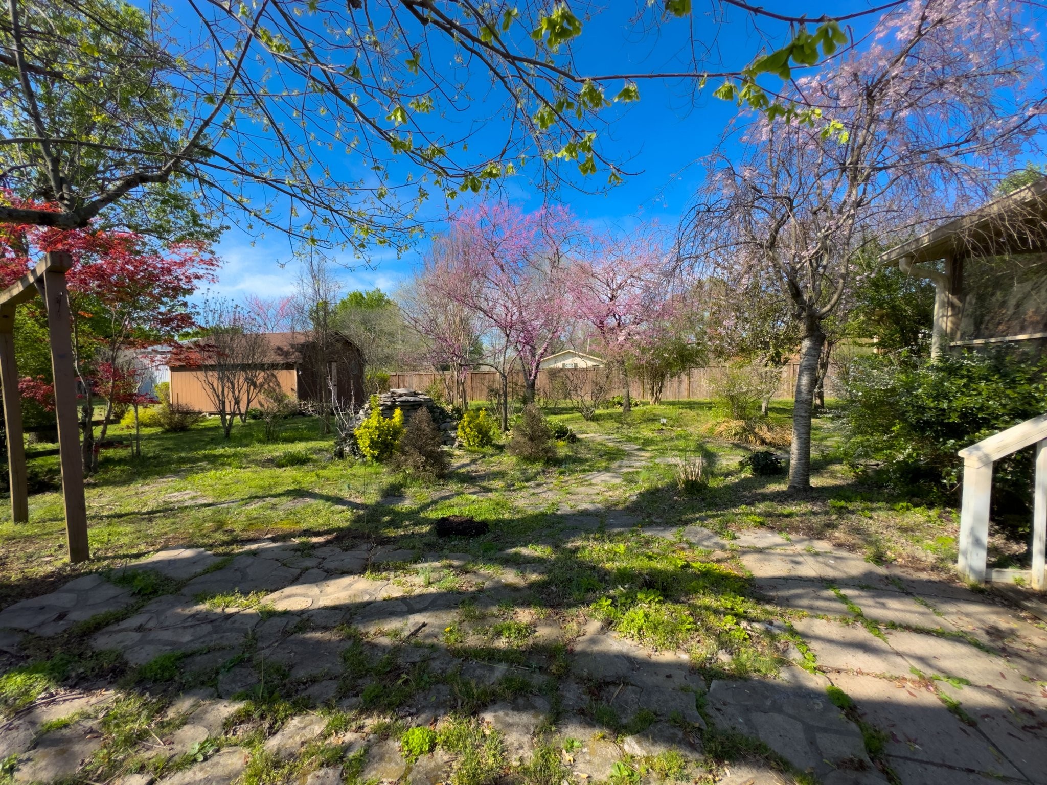 808 Windmere Drive Lebanon, TN 37090 - Photo 63 of 82 a view of a yard with an trees