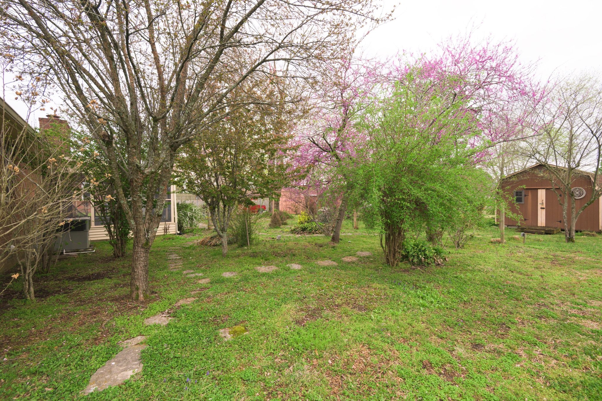 808 Windmere Drive Lebanon, TN 37090 - Photo 68 of 82 a backyard of a house with lots of green space