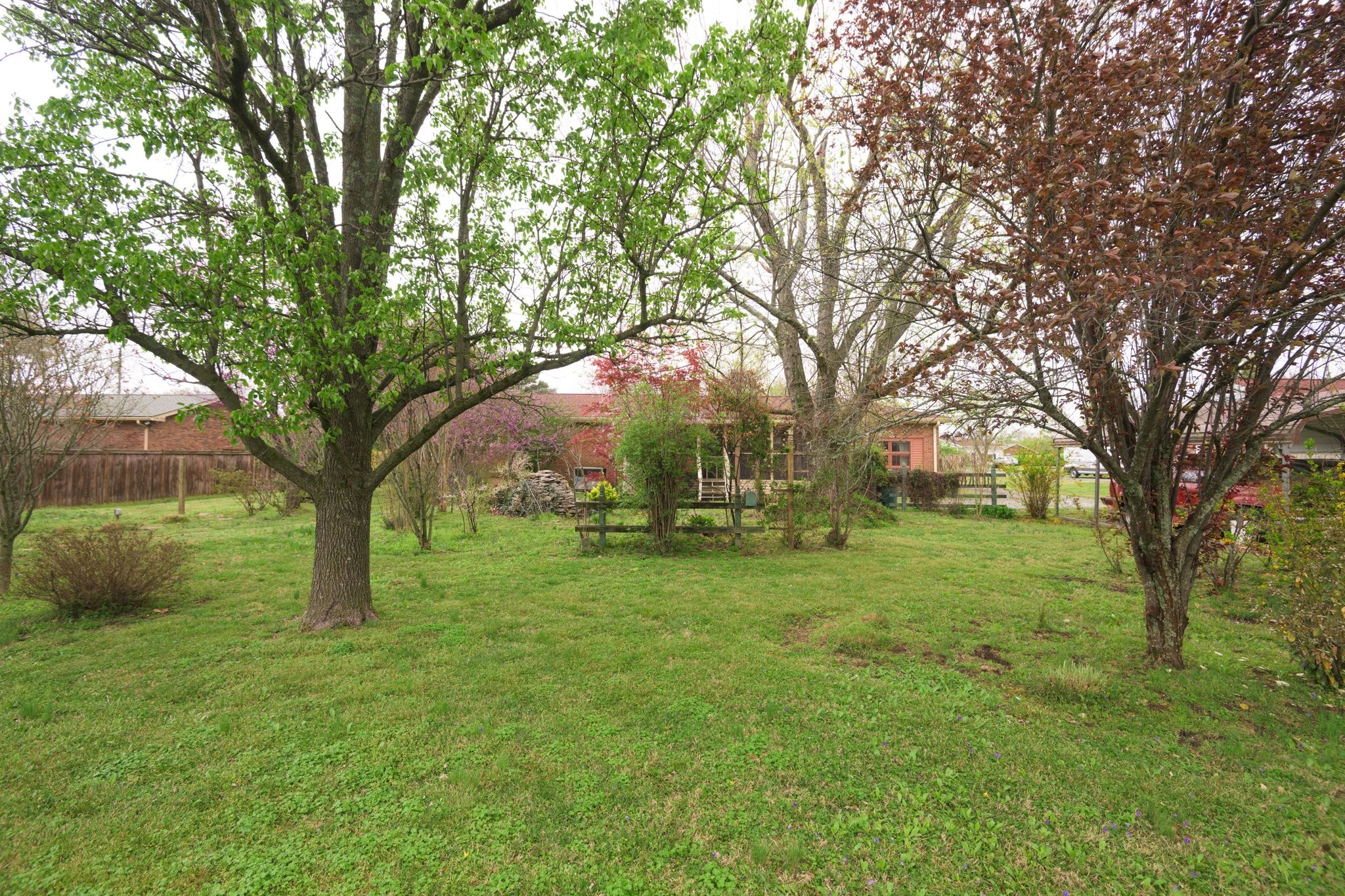 808 Windmere Drive Lebanon, TN 37090 - Photo 79 of 82 a view of a trees in front of a big yard