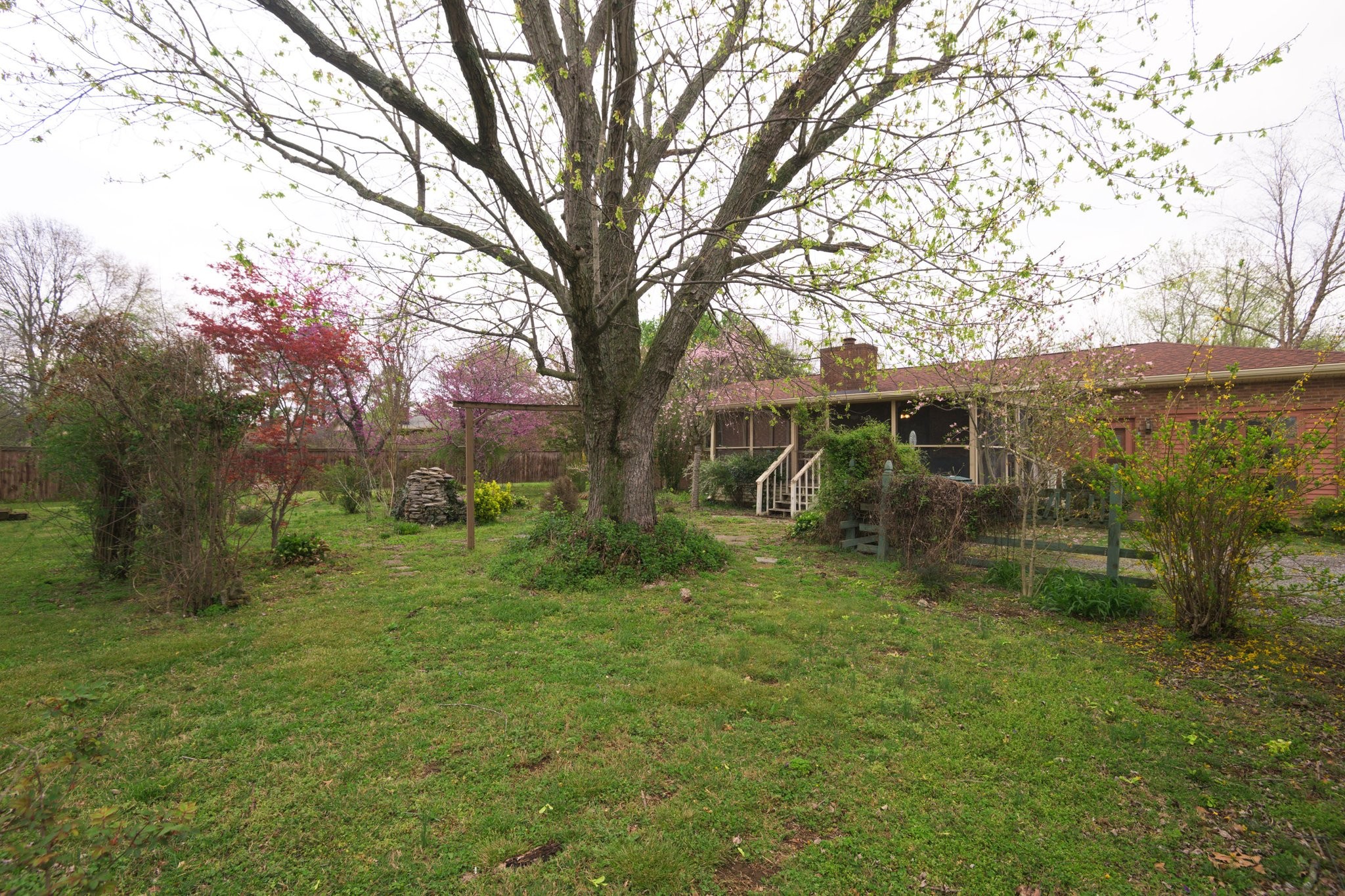 808 Windmere Drive Lebanon, TN 37090 - Photo 81 of 82 a view of backyard of house with green space