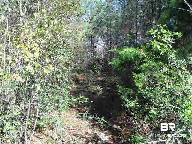 962 West State Line Road Flomaton, AL 36441 - Photo 6 of 16