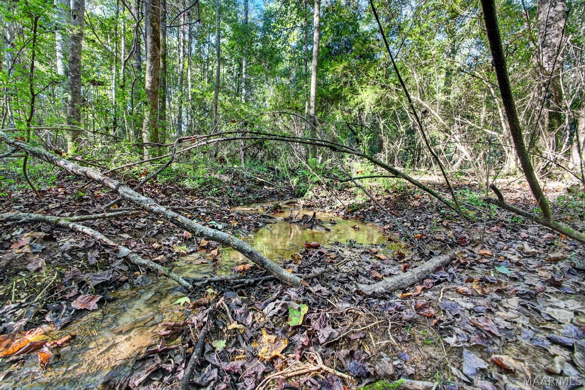 764 Racetrack Road Wetumpka, AL 36092 - Photo 27 of 34 Gallery Image 27