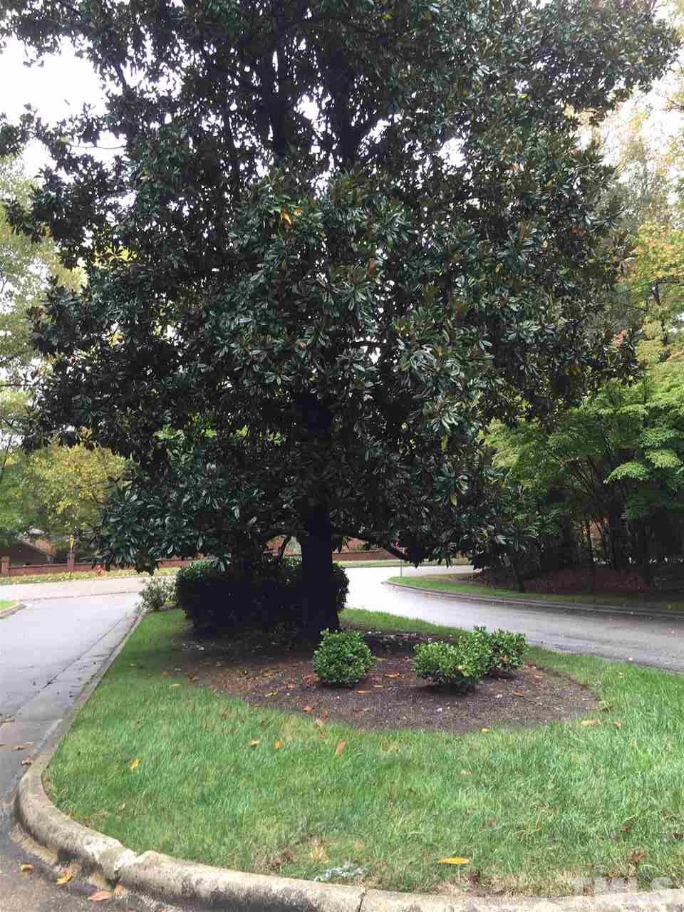 910 Blenheim Drive Raleigh, NC 27612 - Photo 11 of 11 a view of yard with green space