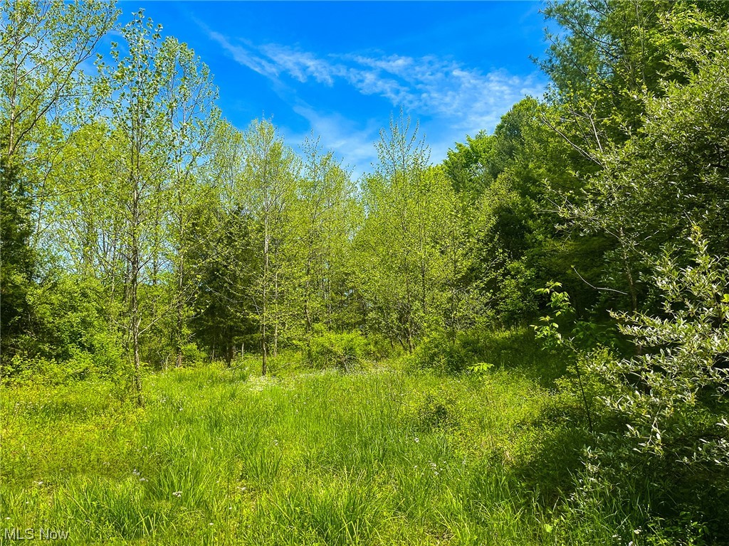 404 East Branch Road Lowell, OH 45744 - Photo 14 of 21 Gallery Image 14