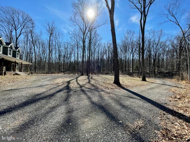 1380 Indian Peg Road Boiling Springs, PA 17007 - Photo 12 of 74 Circular Driveway