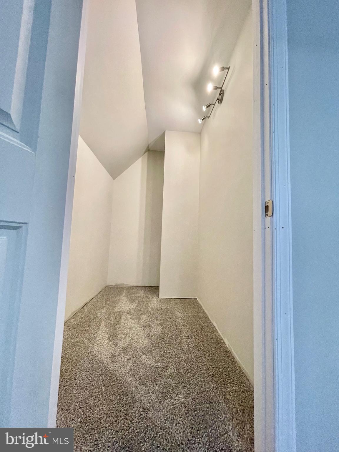 1380 Indian Peg Road Boiling Springs, PA 17007 - Photo 56 of 74 Bedroom 4 walk-in closet