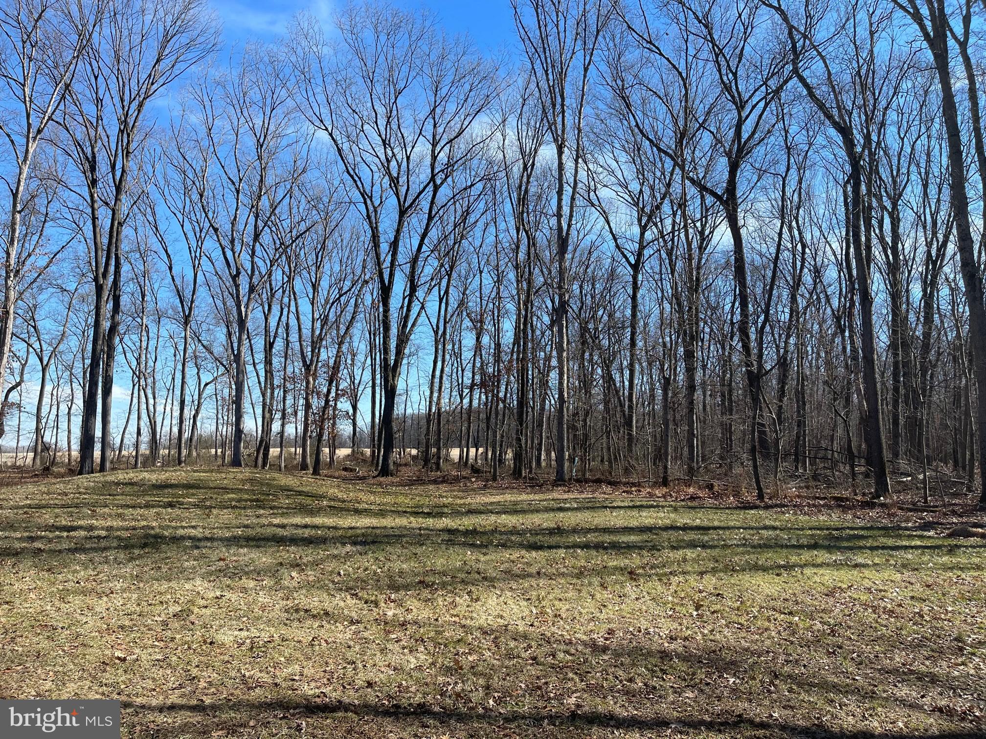 1380 Indian Peg Road Boiling Springs, PA 17007 - Photo 8 of 74 Wooded private lot.