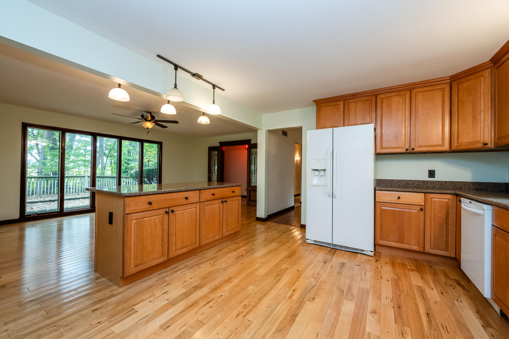 71353 State Line Road Edwardsburg, MI 49112 - Photo 9 of 28 Kitchen