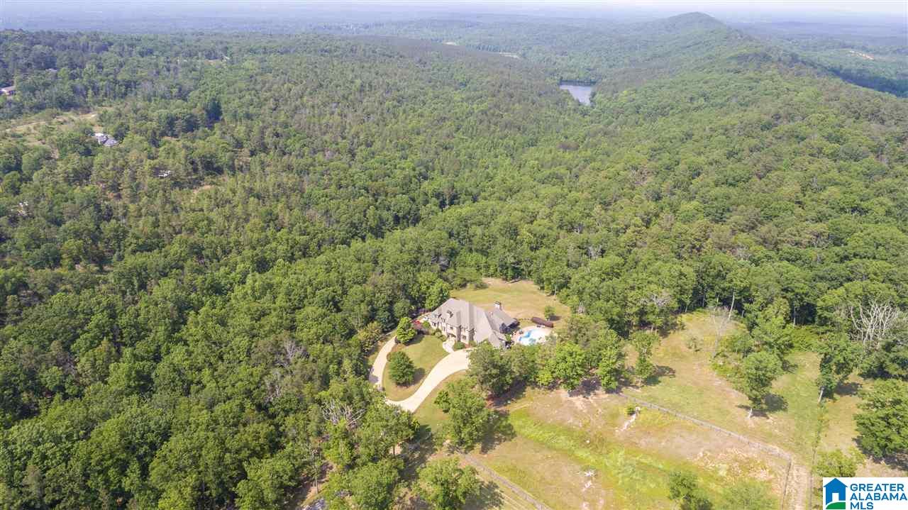 2734 Highway 331 Alabaster Al Chelsea, AL 35043 - Photo 6 of 42