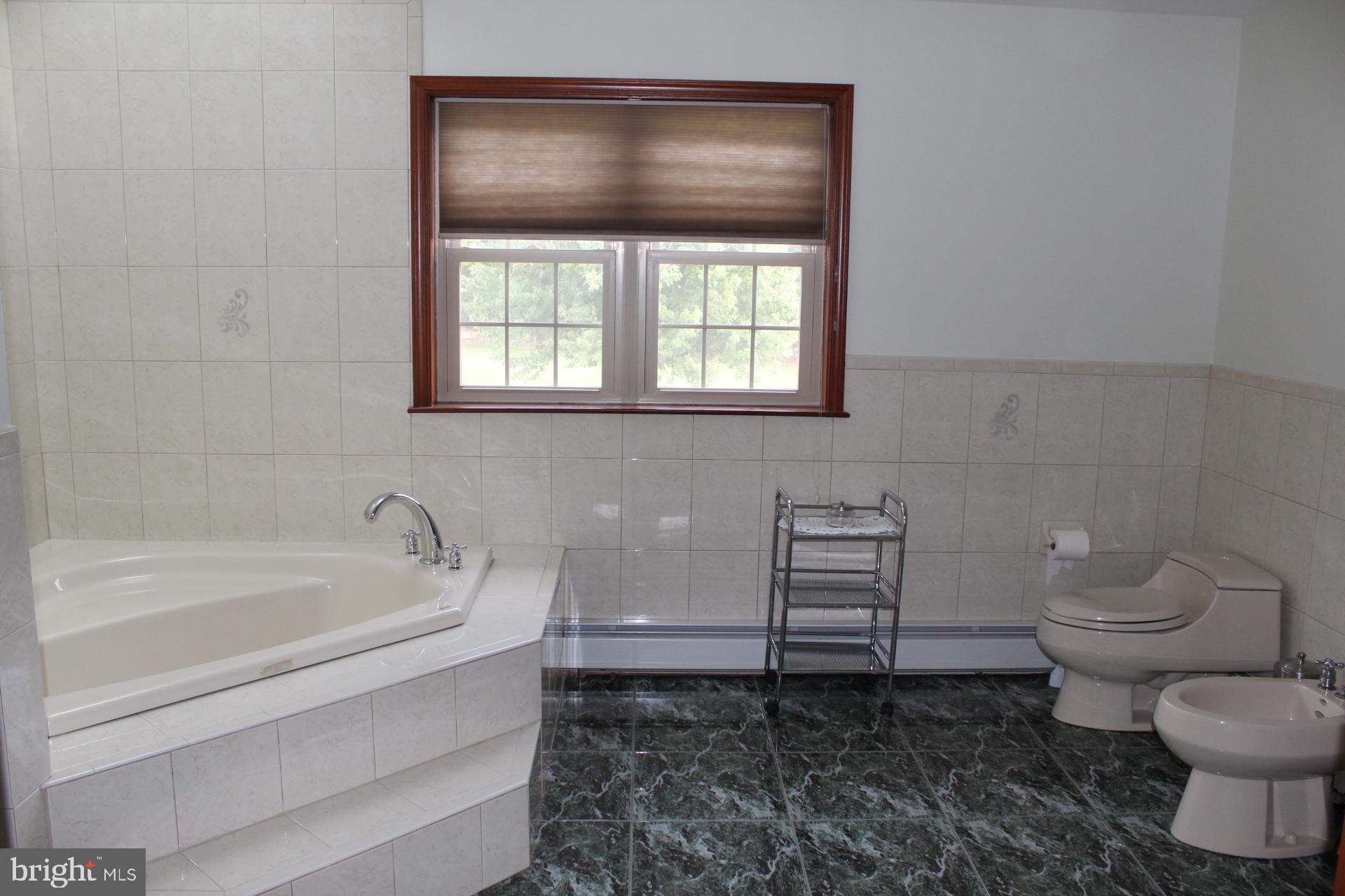 255 Kulps Road Barto, PA 19504 - Photo 30 of 71 Master bath