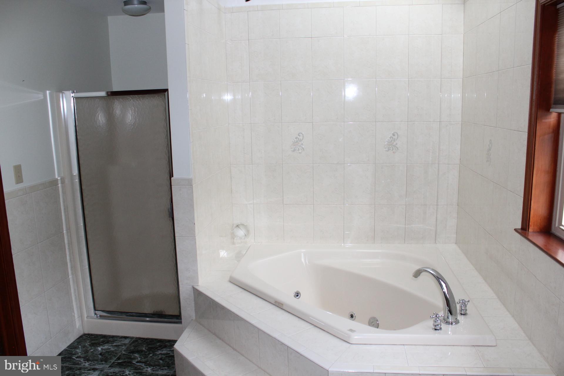 255 Kulps Road Barto, PA 19504 - Photo 31 of 71 Master bath