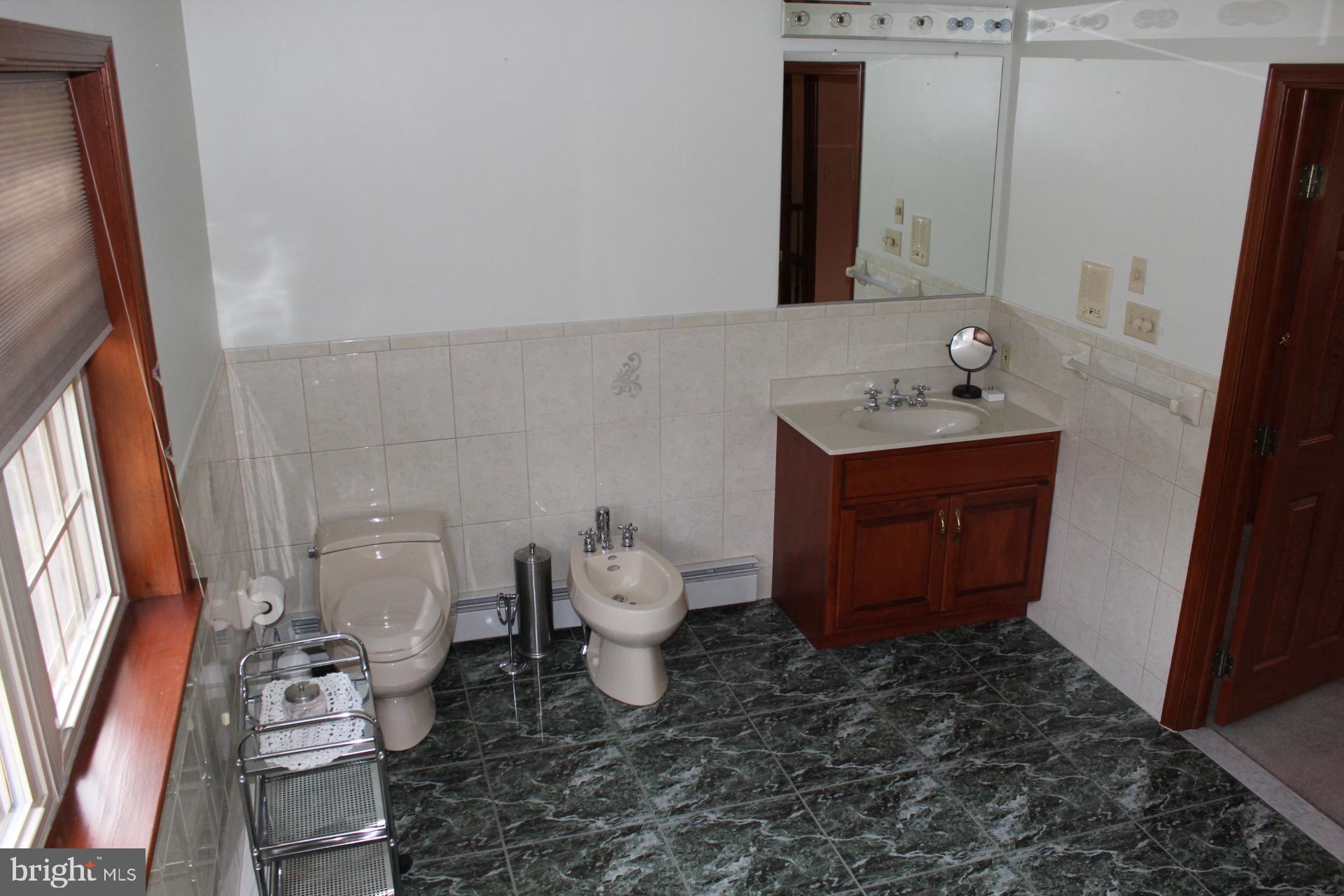 255 Kulps Road Barto, PA 19504 - Photo 32 of 71 Master bath