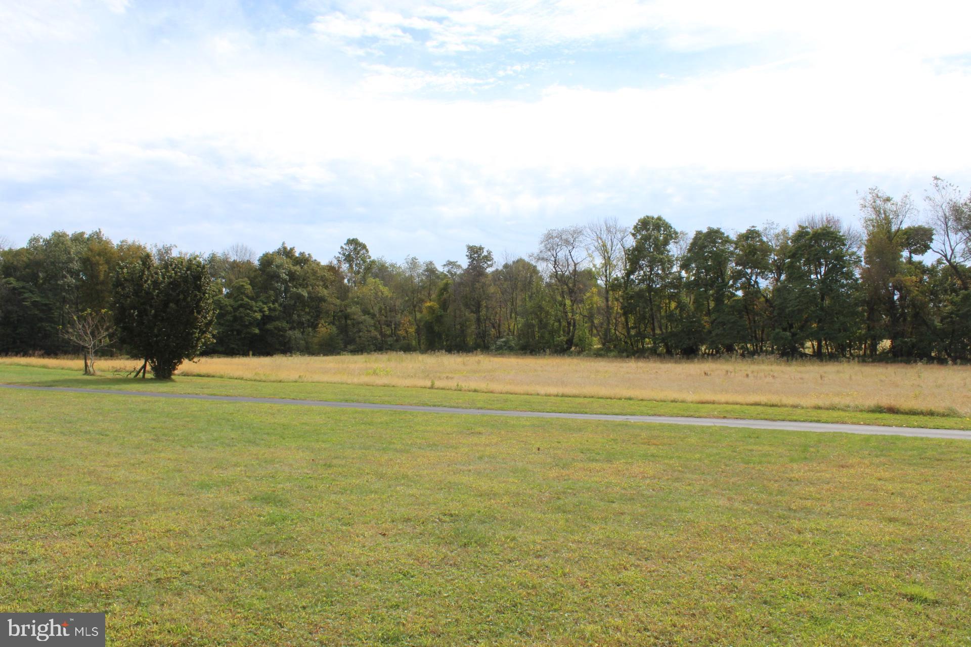 255 Kulps Road Barto, PA 19504 - Photo 62 of 71 Open space, pasture adjacent to garage