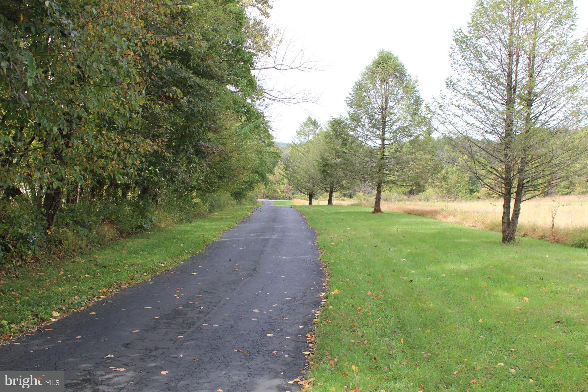 255 Kulps Road Barto, PA 19504 - Photo 64 of 71 Tree lined property entrance, paved driveway.