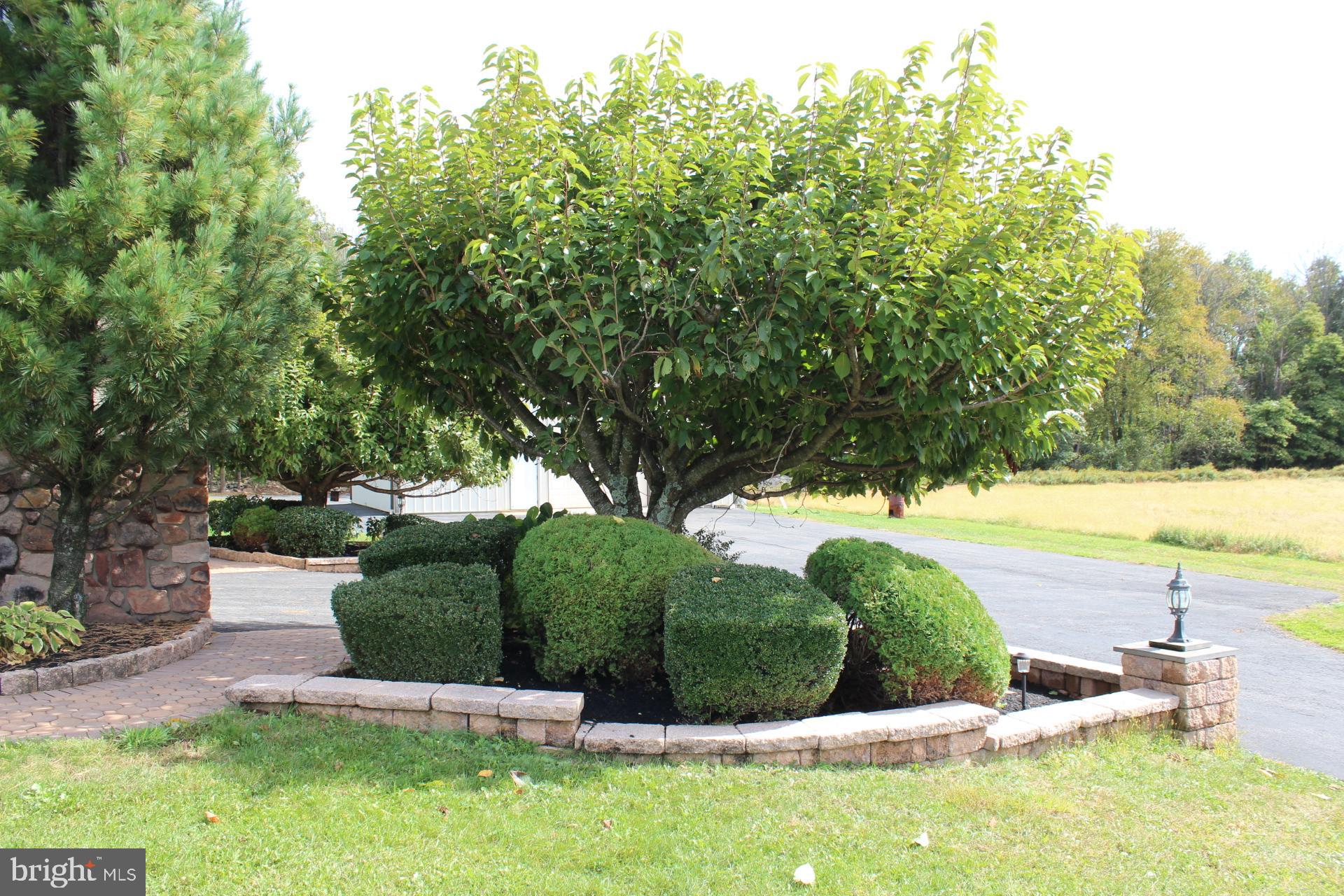 255 Kulps Road Barto, PA 19504 - Photo 65 of 71 Landscaping