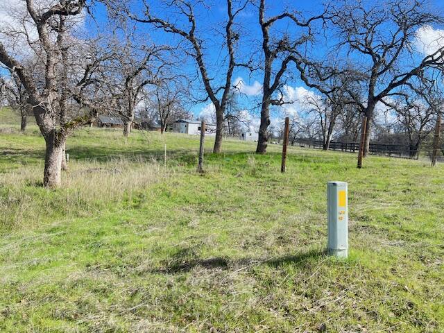 3210 Perla Road Igo, CA 96047 - Photo 6 of 41 2b - Copy