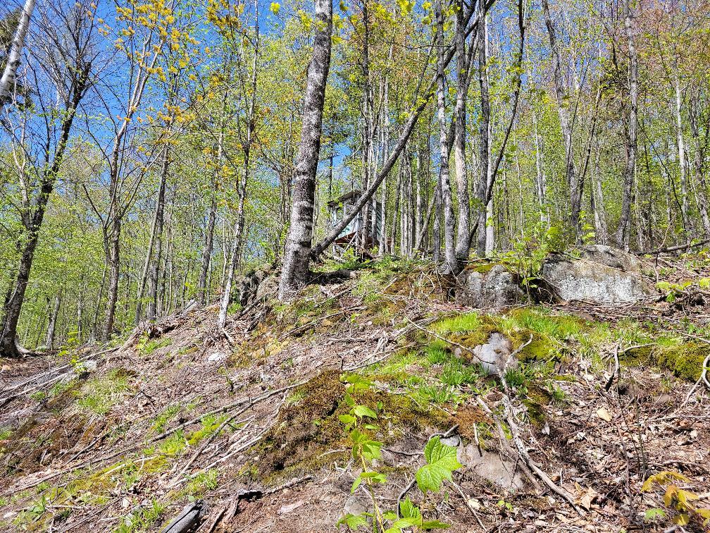 Lot 11 Swift River Road Byron, ME 04275 - Photo 39 of 72 photo_aa532c97-1d2f-46ea-b8cc-61baf2c0ac