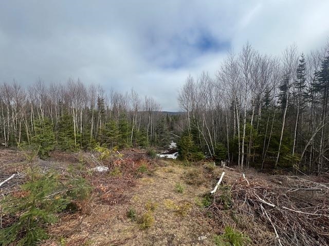 639 Pinnacle Road Newark, VT 05871 - Photo 39 of 40 Gallery Image 39