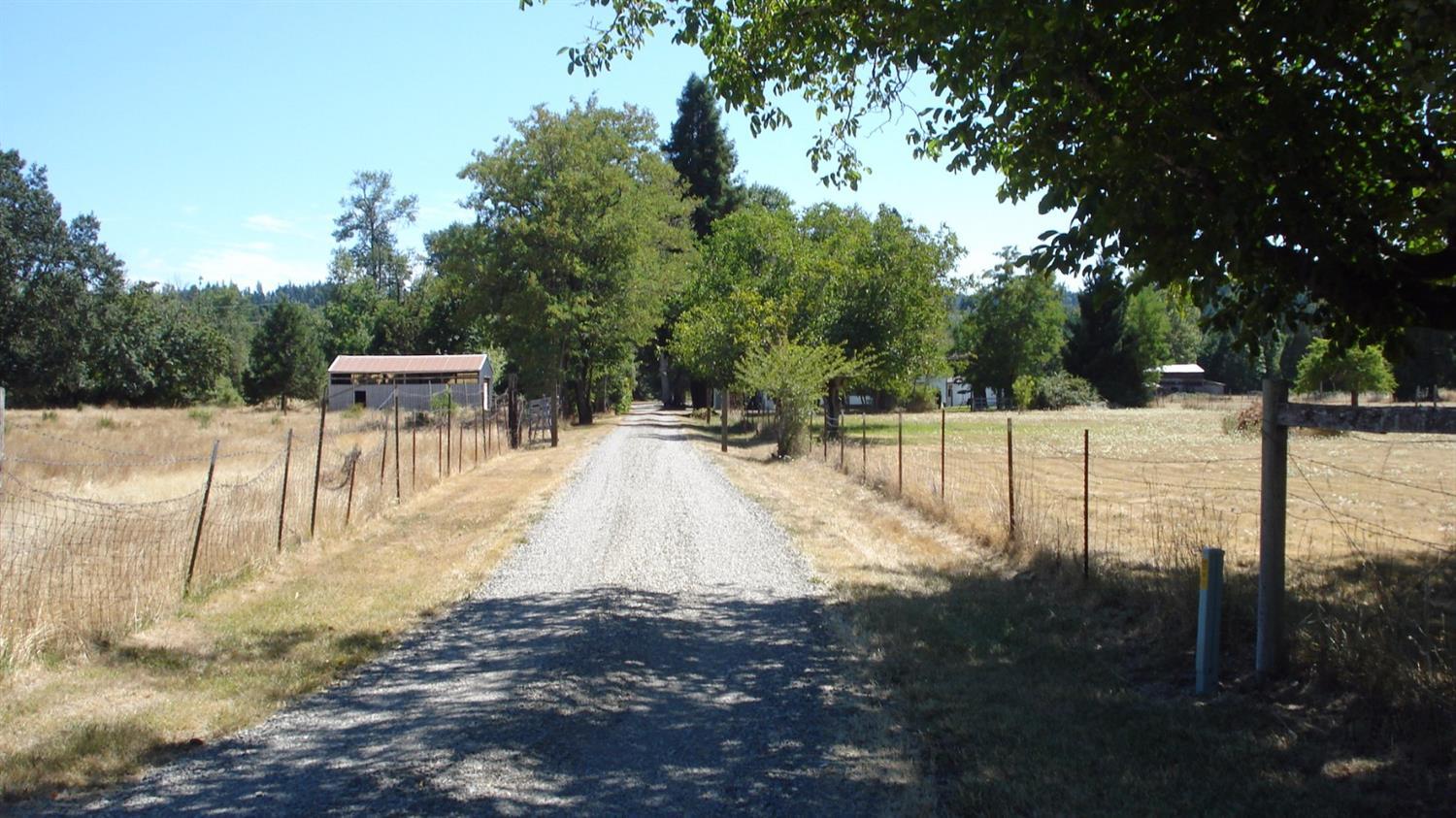 135 Norman Road Selma, OR 97538 - Photo 18 of 19 Additional Photo