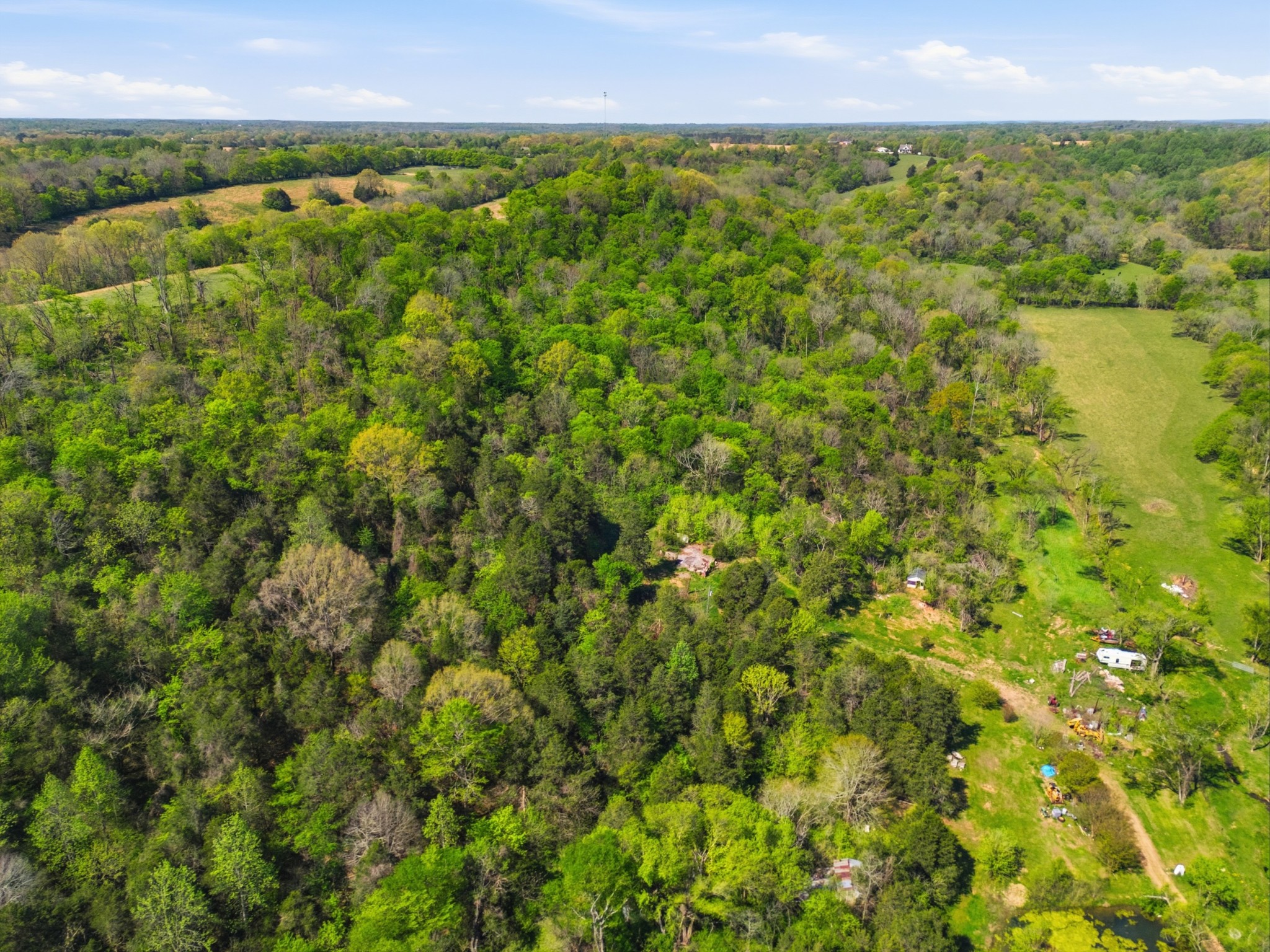 66 Thompson Hollow Road Taft, TN 38488 - Photo 4 of 8 Gallery Image 4