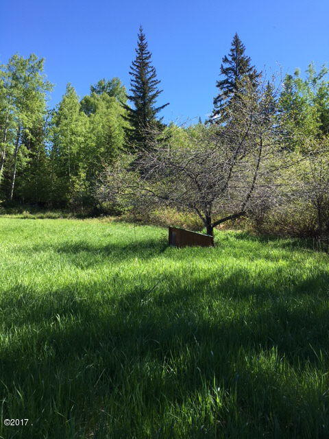 214 Hearns Road Trego, MT 59934 - Photo 16 of 22 Gallery Image 16