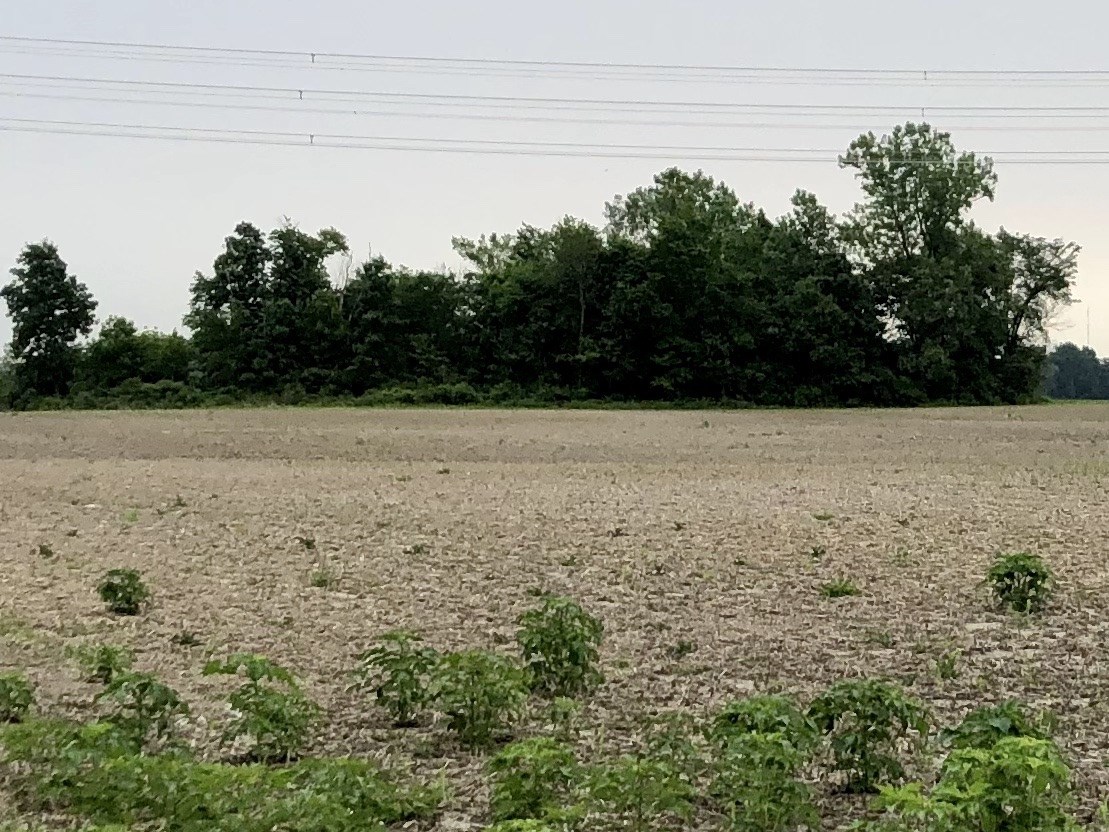 10000 West Washington Center Road Fort Wayne, IN 46818 - Photo 1 of 2