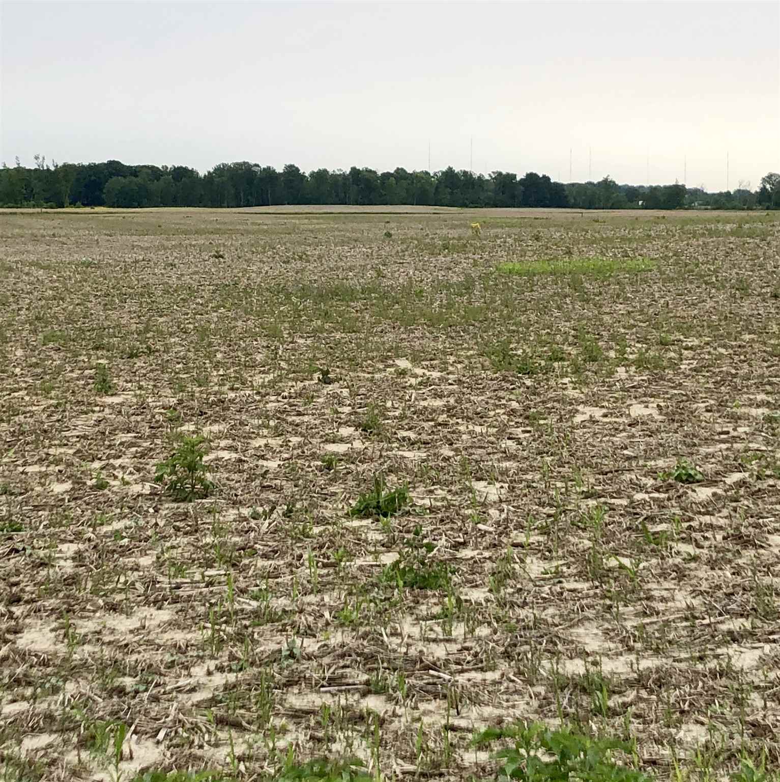 10000 West Washington Center Road Fort Wayne, IN 46818 - Photo 2 of 2