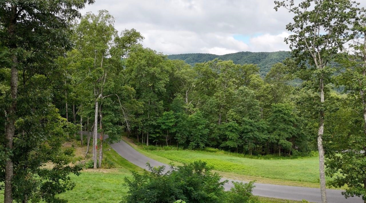 15 Delafield Road Hot Springs, VA 24445 - Photo 2 of 4