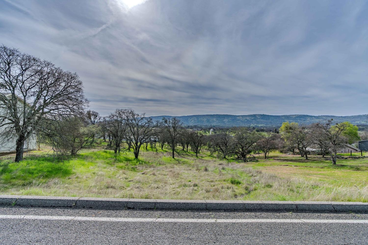 2172 Arrowhead Street Copperopolis, CA 95228 - Photo 2 of 12 a view of a grassy area with an trees