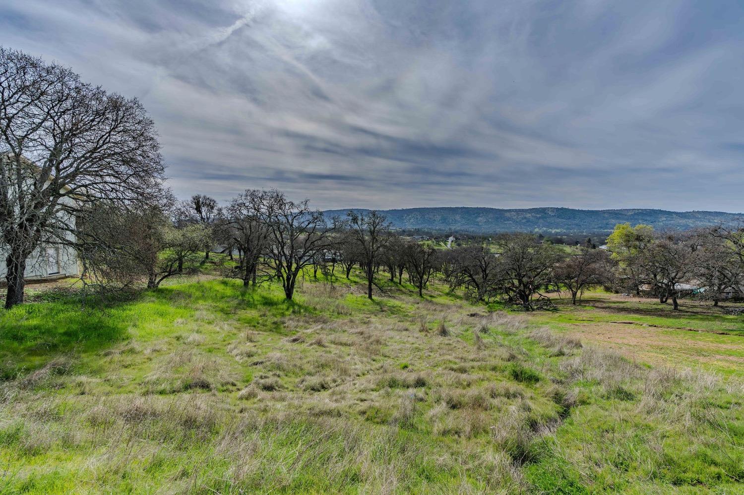 2172 Arrowhead Street Copperopolis, CA 95228 - Photo 3 of 12 a view of a field with a building in the background