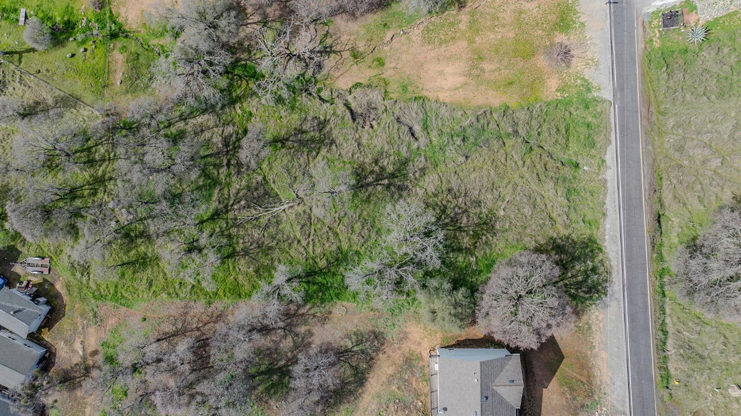 2172 Arrowhead Street Copperopolis, CA 95228 - Photo 5 of 12 a view of a forest with a tree