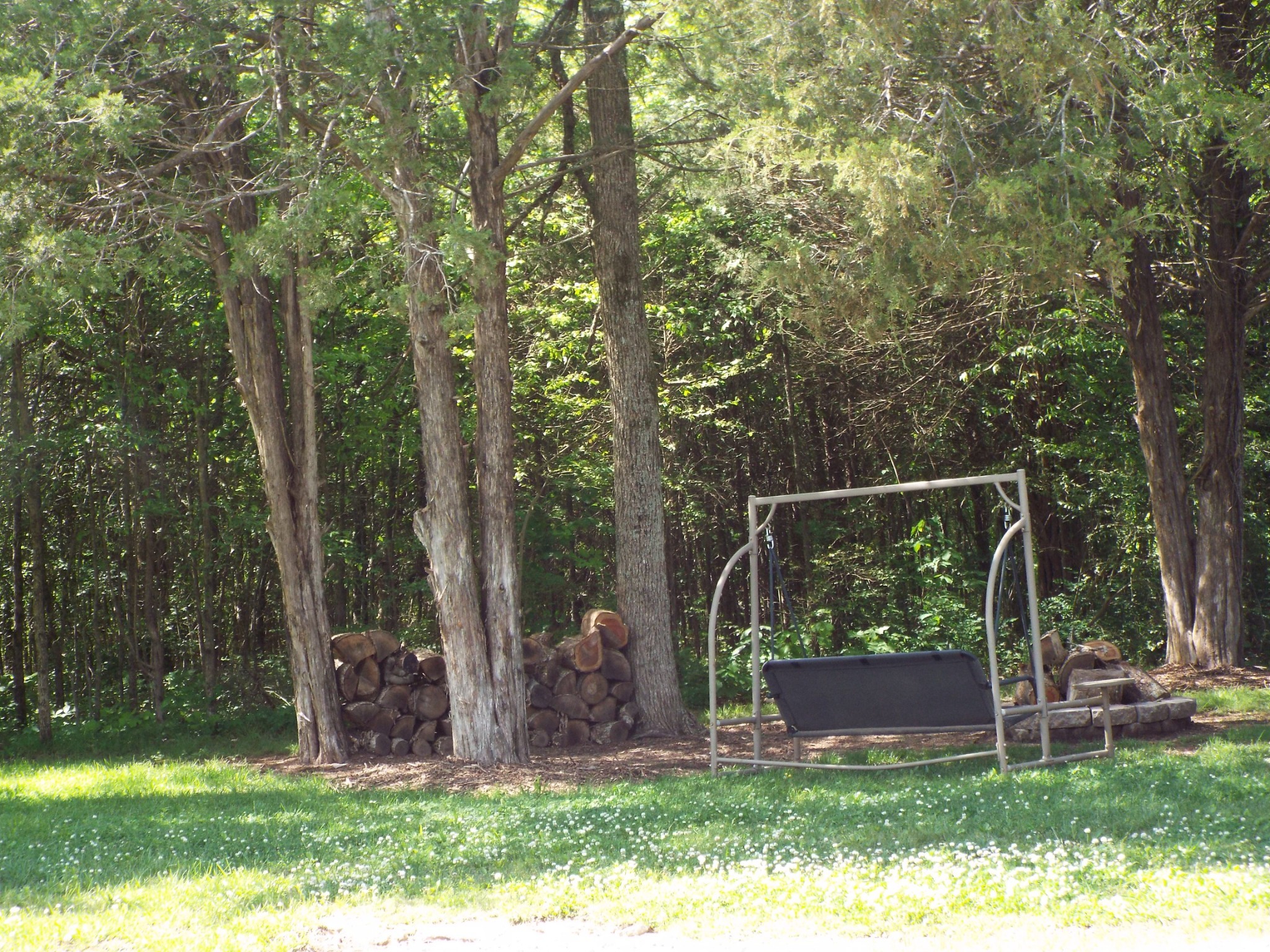 2930 Franklin Road Lebanon, TN 37090 - Photo 9 of 19 a view of a backyard with plants and outdoor seating