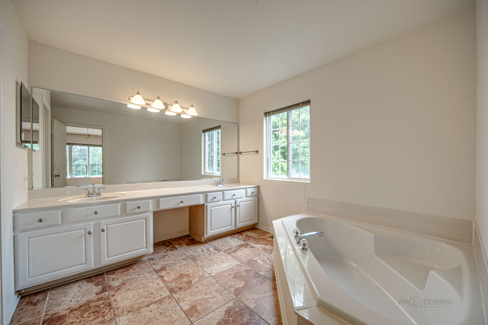 185 Aberdeen Drive Algonquin, IL 60102 - Photo 29 of 36 a spacious bathroom with a tub sink and mirror