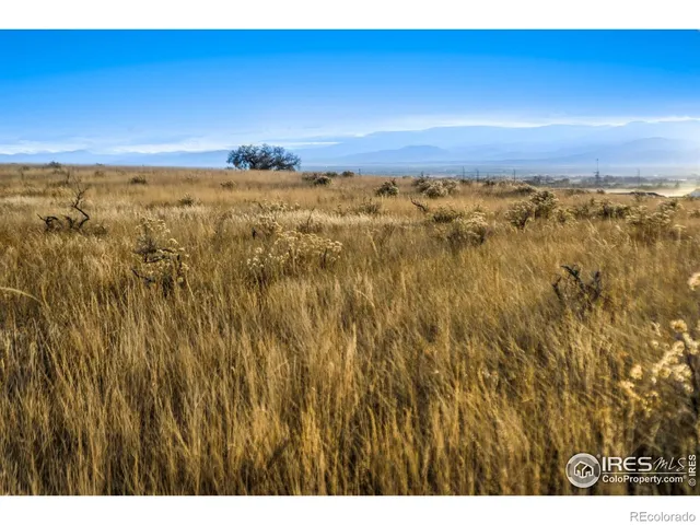 $725,000 | 7923 County Road 84, Fort Collins, CO 80524