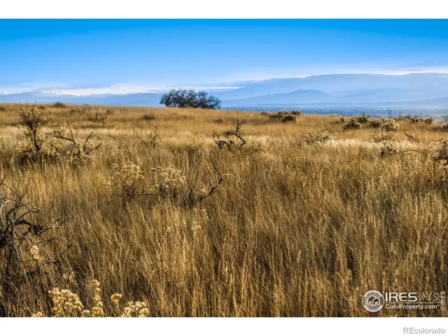 $725,000 | 7923 County Road 84, Fort Collins, CO 80524