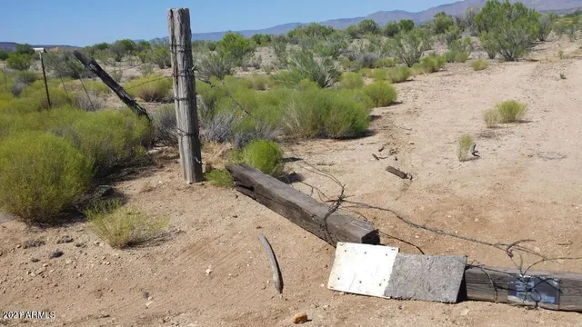 a view of a dry yard with wooden fence