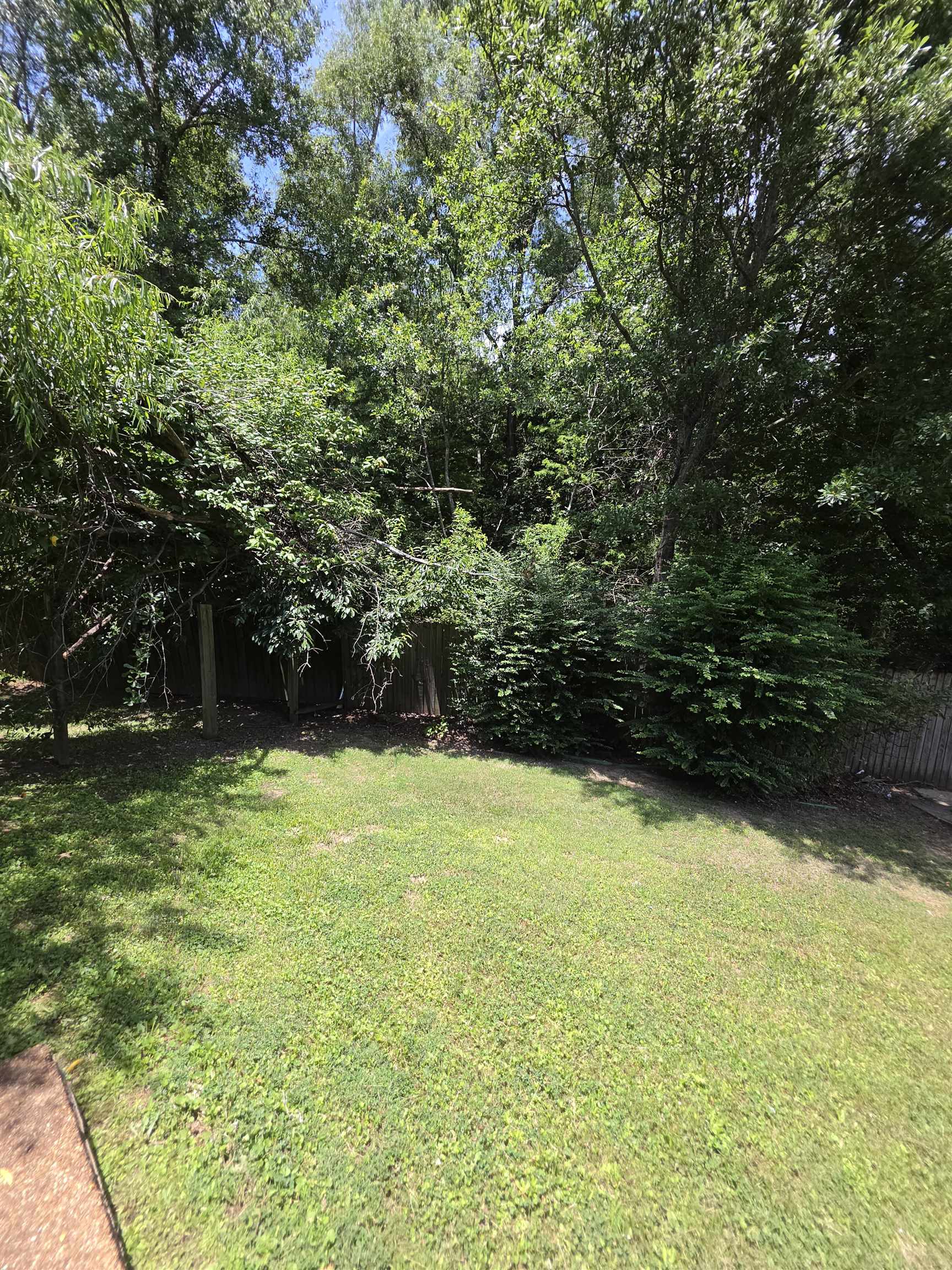 7253 Rourke Circle Memphis, TN 38125 - Photo 27 of 31 Expansive grassy yard area with mature trees and established perimeter fencing