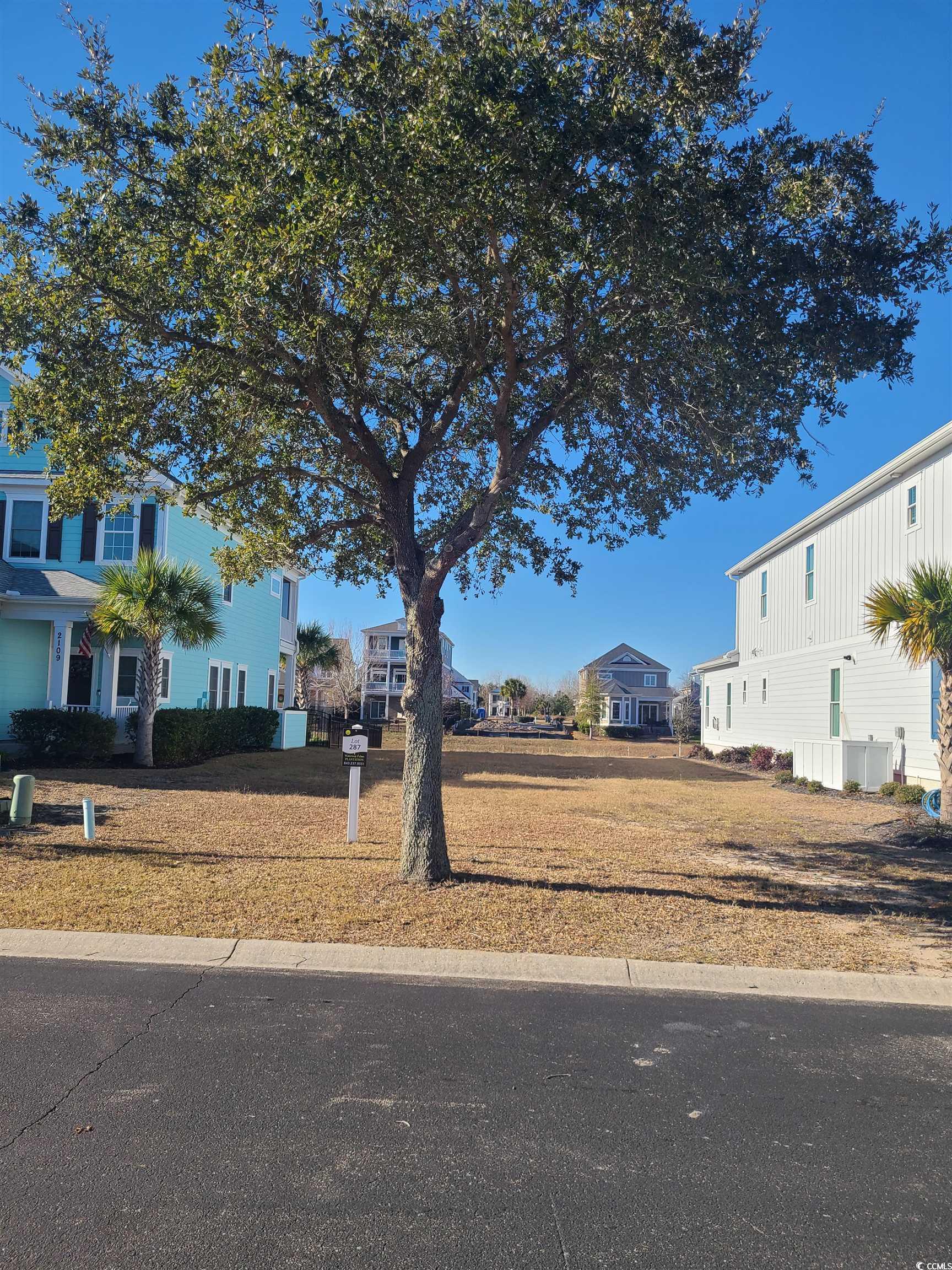2113 Castille Drive Myrtle Beach, SC 29579 - Photo 25 of 31 View of yard
