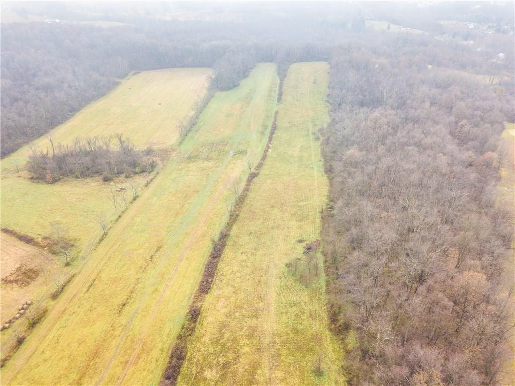 425 Buckingham Road Scenery Hill, PA 15360 - Photo 23 of 24 The acreage goes straight back to the tree line.