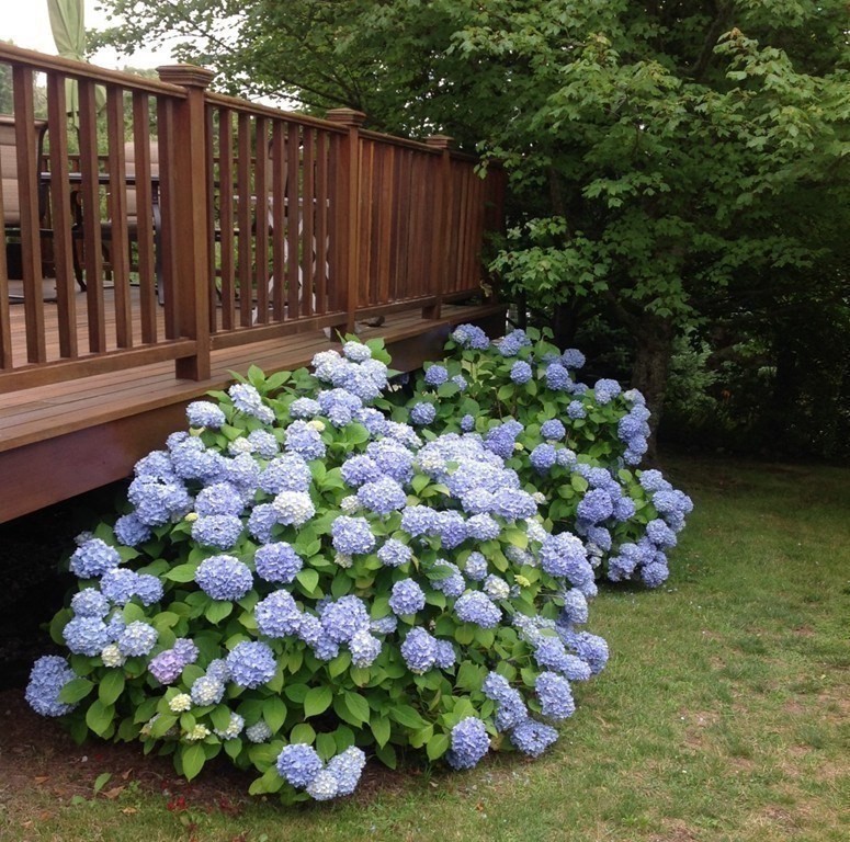 1834 Main Road Westport, MA 02790 - Photo 7 of 42